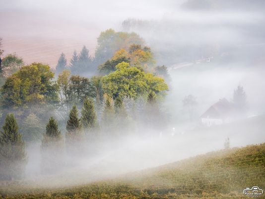 Austria, Styria, Leibnitz: Südsteirische Weinstrasse