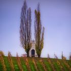 Austria, Styria, Südsteiermark, Leibnitz, Kittenberg: Kleine Weinberg-Kapelle