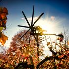 Austria, Styria, Südsteirische Weinstraße: Klapotez 