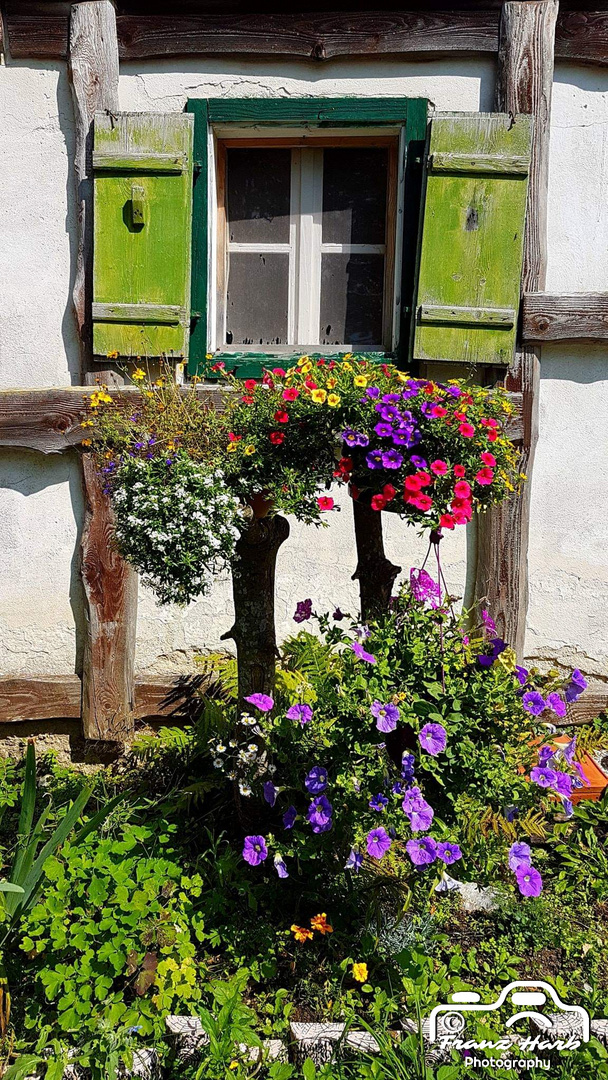 Austria, Styria, Teichalm:  Windows View