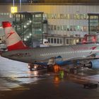 Austrian A319