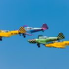 Austrian Airfest 2017