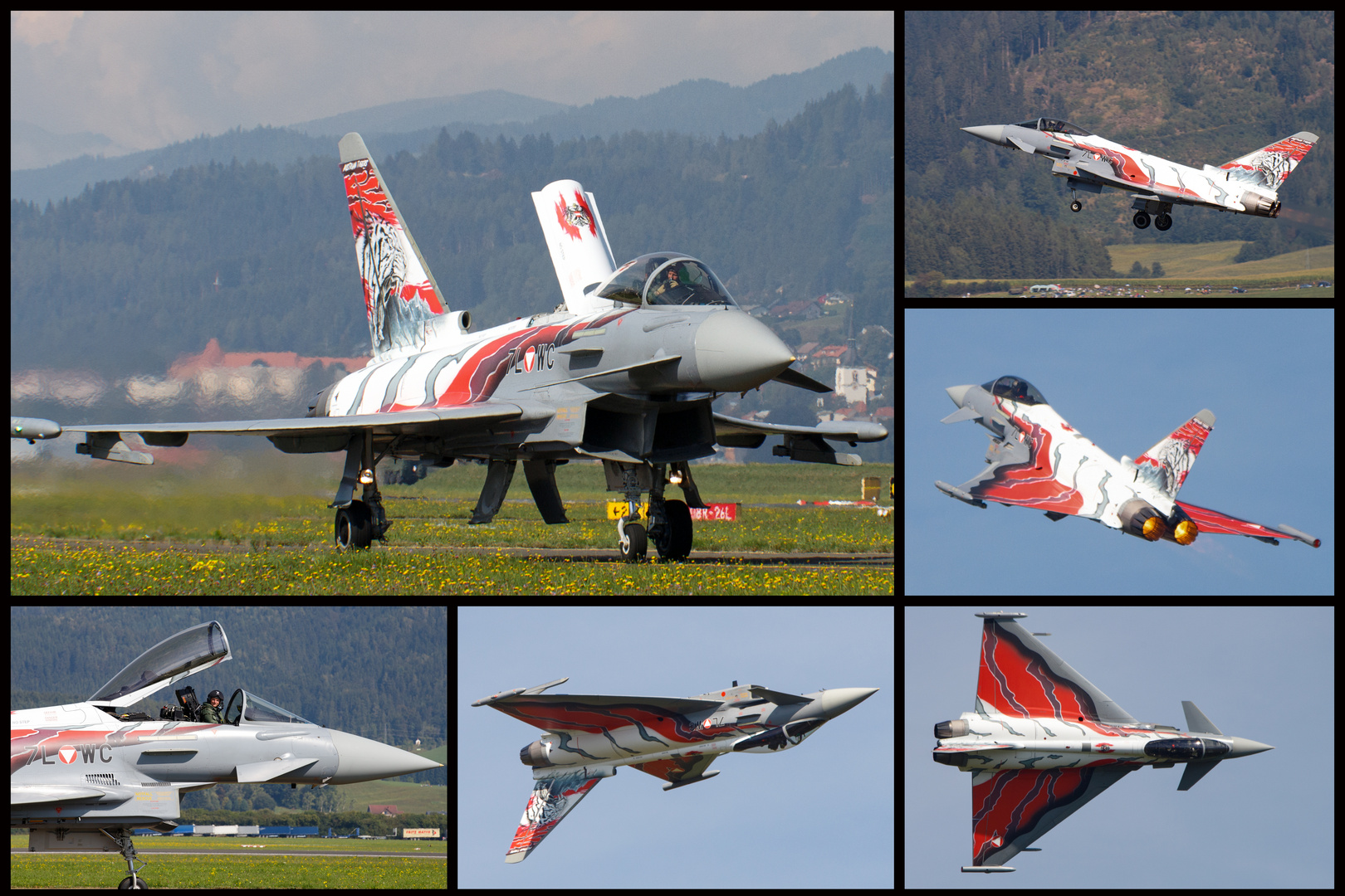 Austrian  Airforce