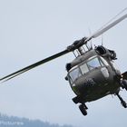 Austrian Blackhawk