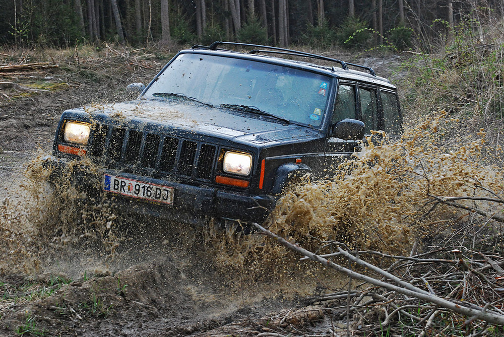 Austrian Cherokee