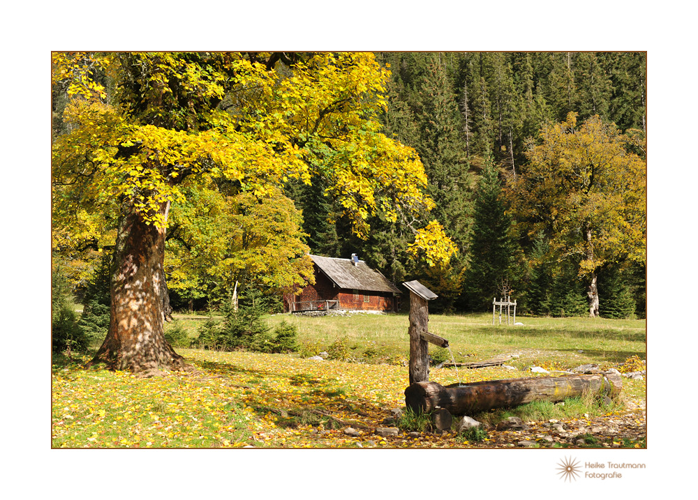 austrian colors