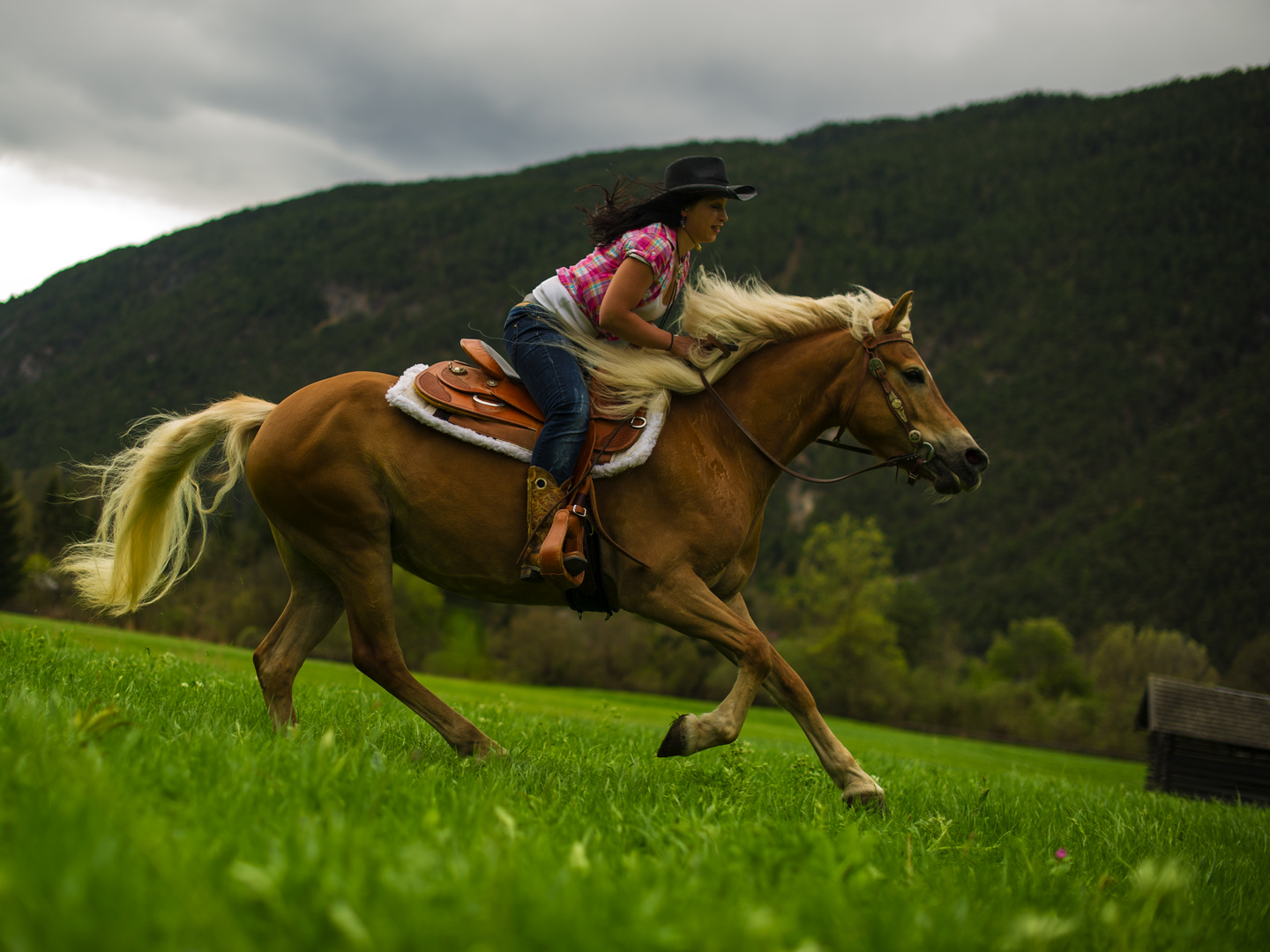 Austrian Cowgirl