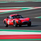 Austrian Historic / Sports Cars Legends / Ginetta G4R