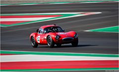 Austrian Historic / Sports Cars Legends / Ginetta G4R