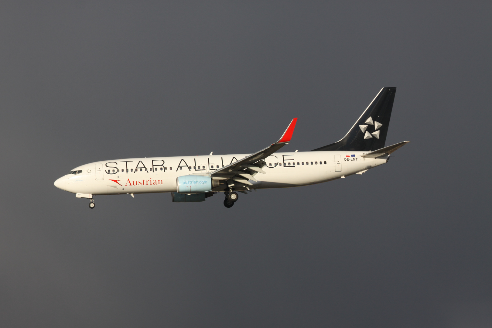 Austrian Staralliance