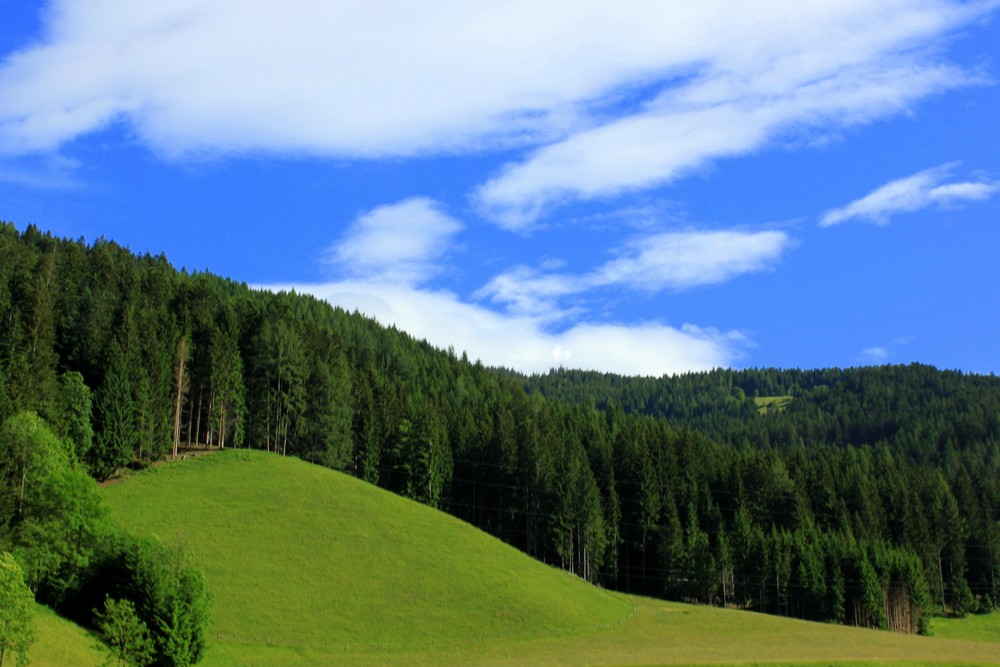 Austrian Windows