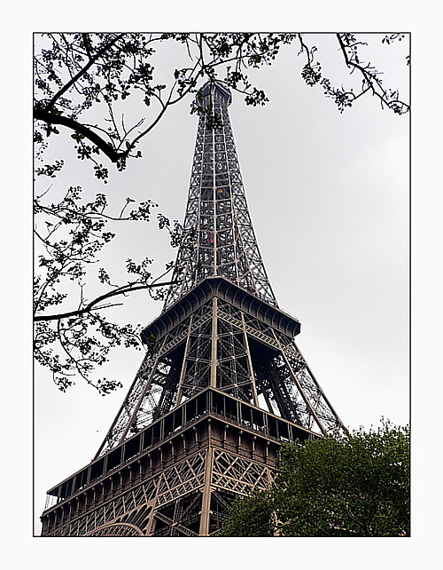 Austrieb in Paris