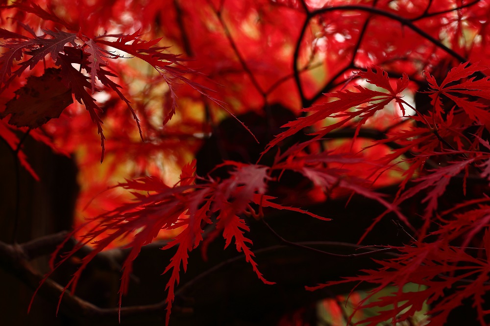 Ausverkauf der Farben