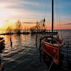 "Auswanderer-Boote" auf dem Steinhuder Meer