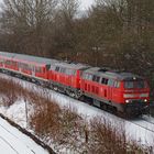 Auswirkungen von Daisy