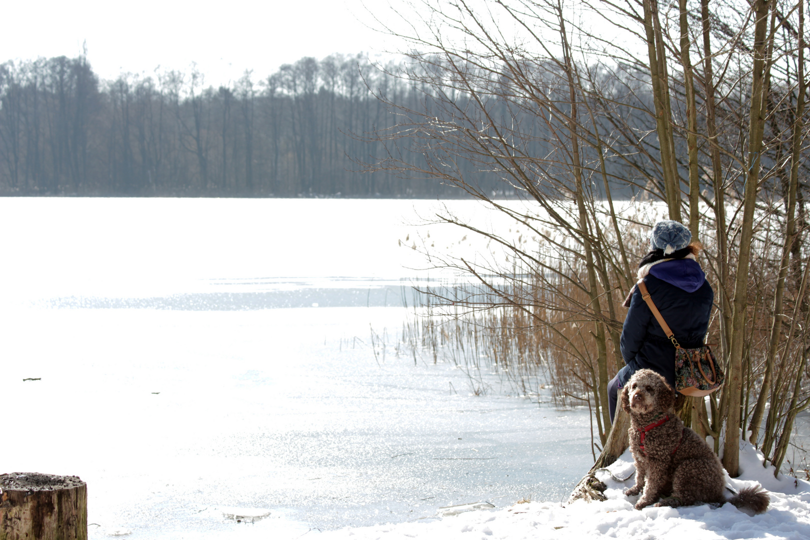 Auszeit am Gorinsee