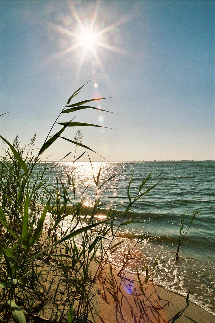 Auszeit am Meer