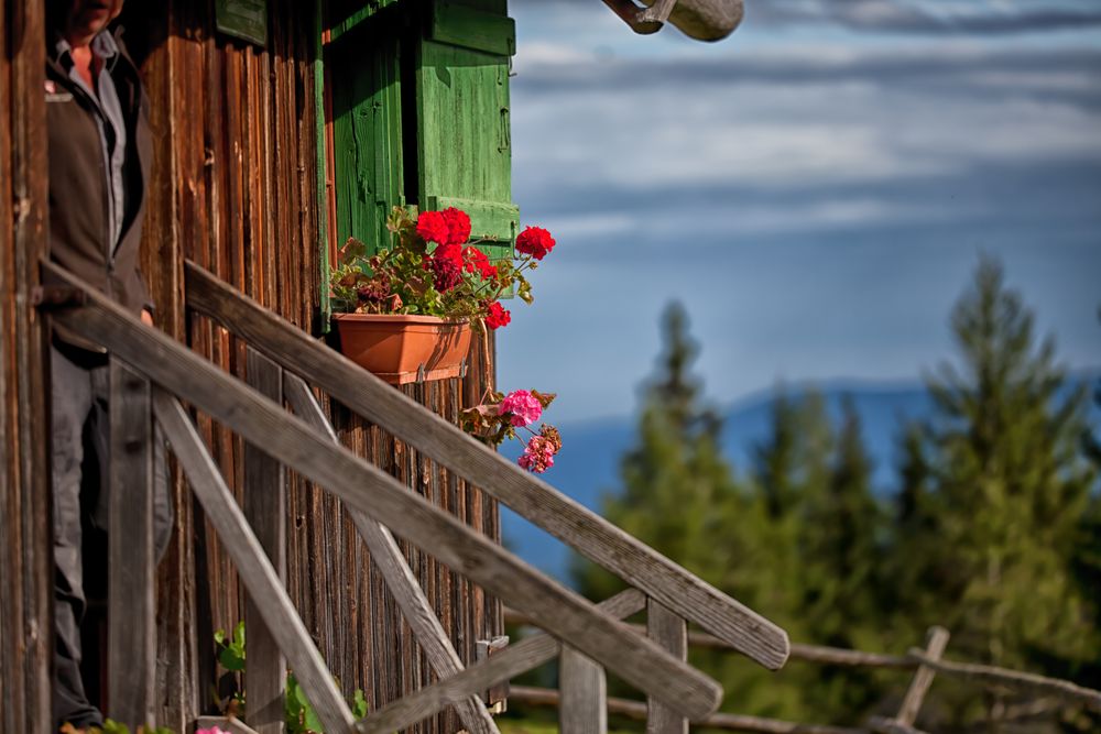 Auszeit auf der Alm