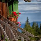 Auszeit auf der Alm