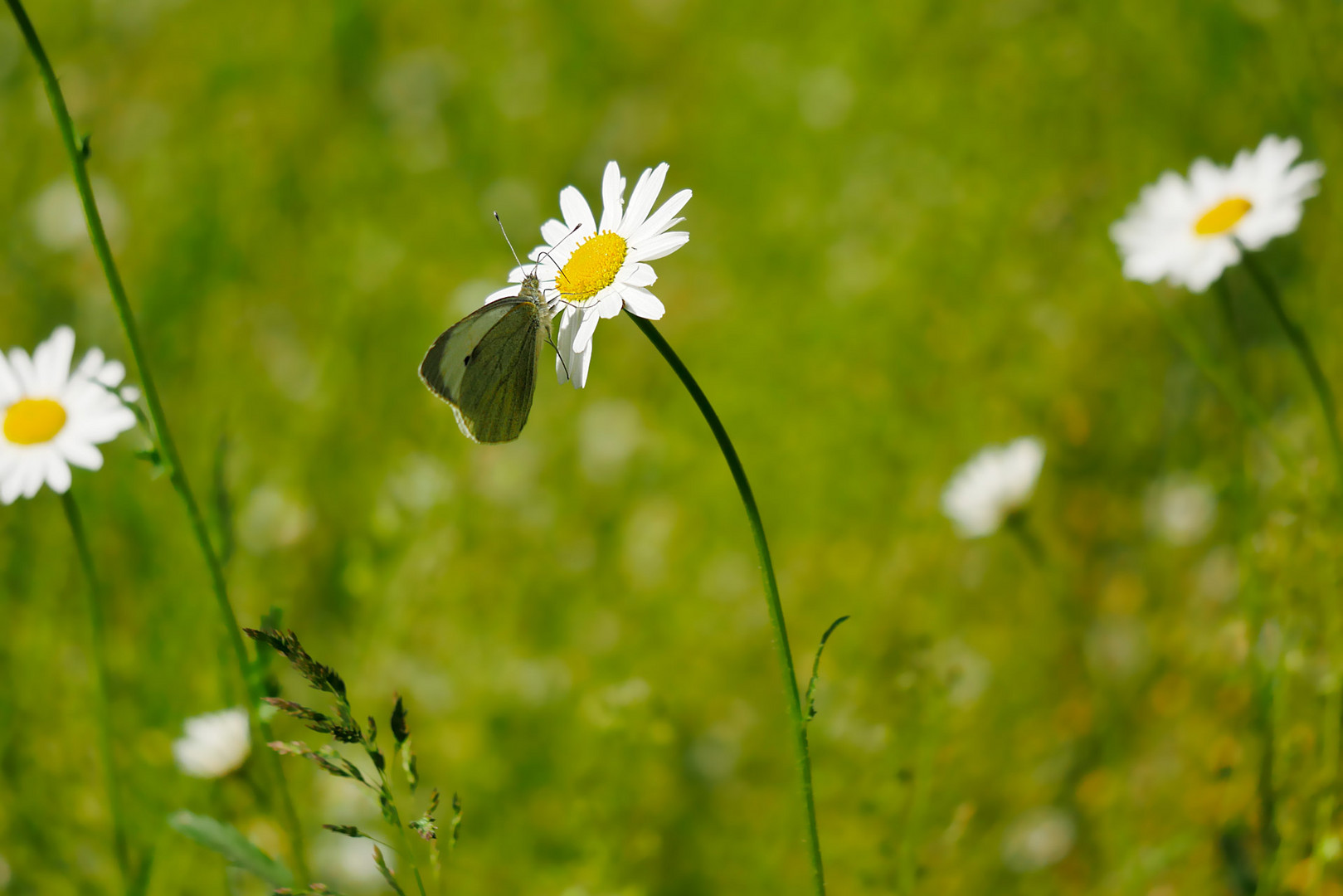 AusZeit