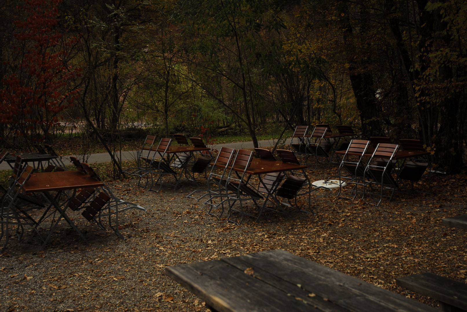 Auszeit im Biergarten