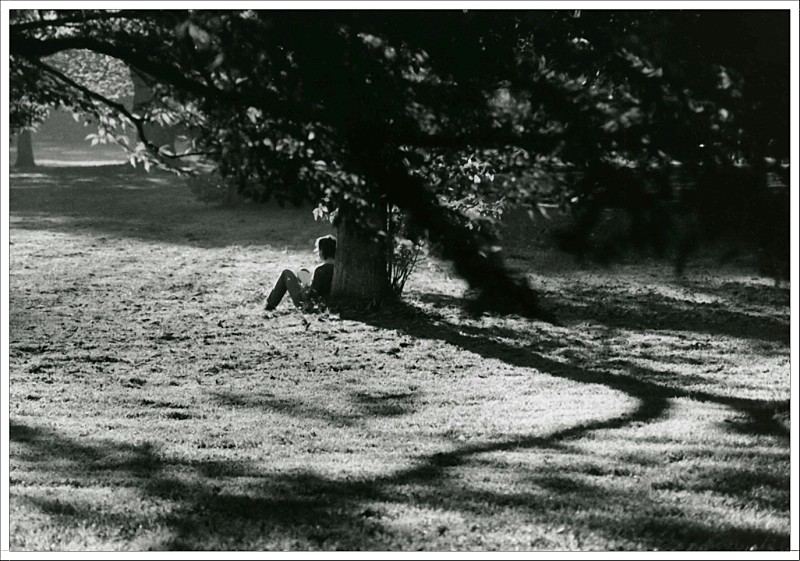 Auszeit im Park