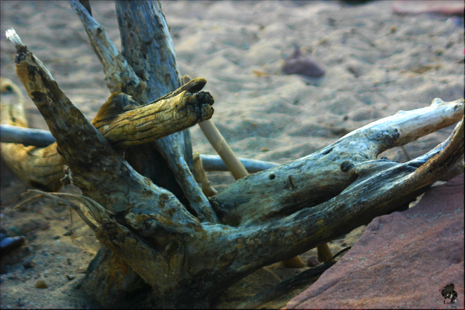 Autant en emporte le bois...