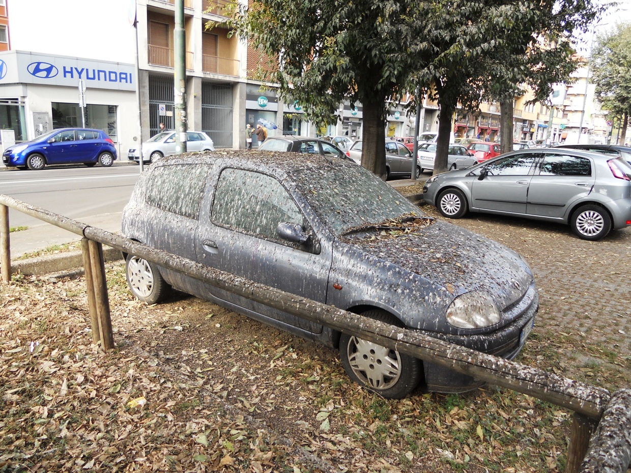 Auto a Milano Sud Est