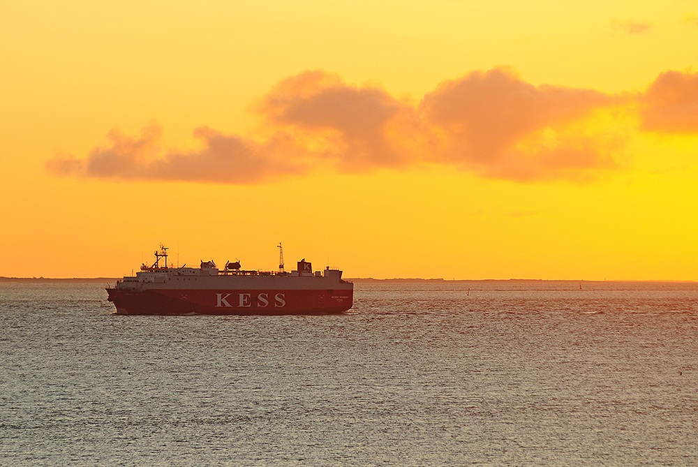 Auto-Carrier auf der Westerems vor Borkum im abendlichen Gegenlicht