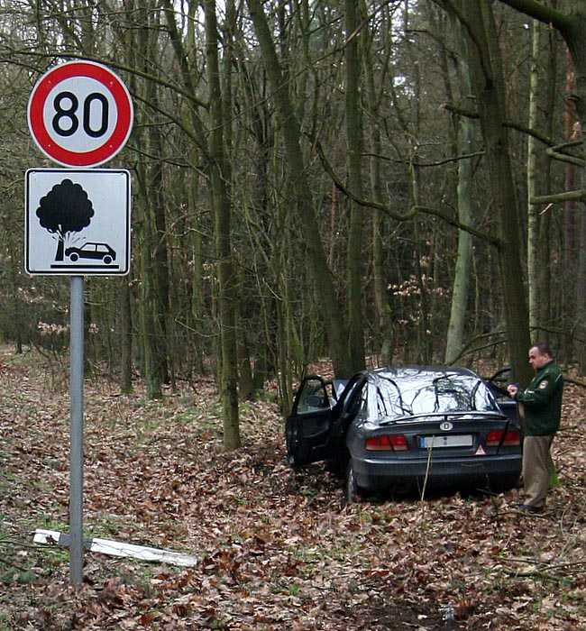 Auto gegen Baum