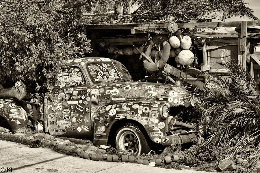 Auto im Garten