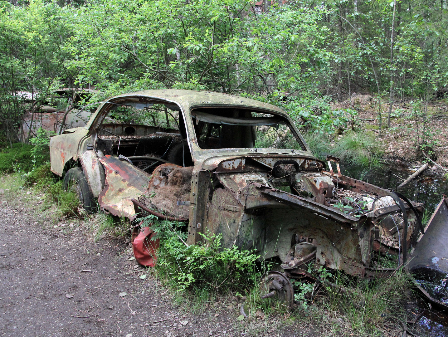 Auto im Herbst