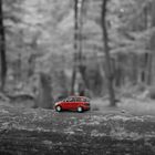 Auto im Wald