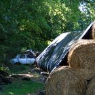 Auto in der Natur