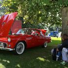 Auto Jumble Beaulieu....