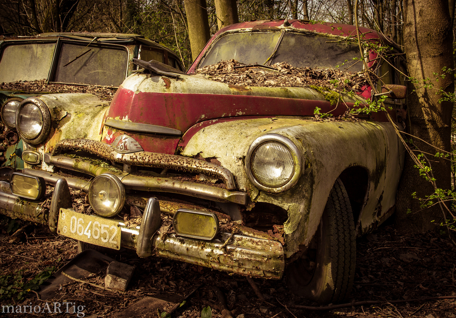 Auto-Skulpturen-Park im Neandertal