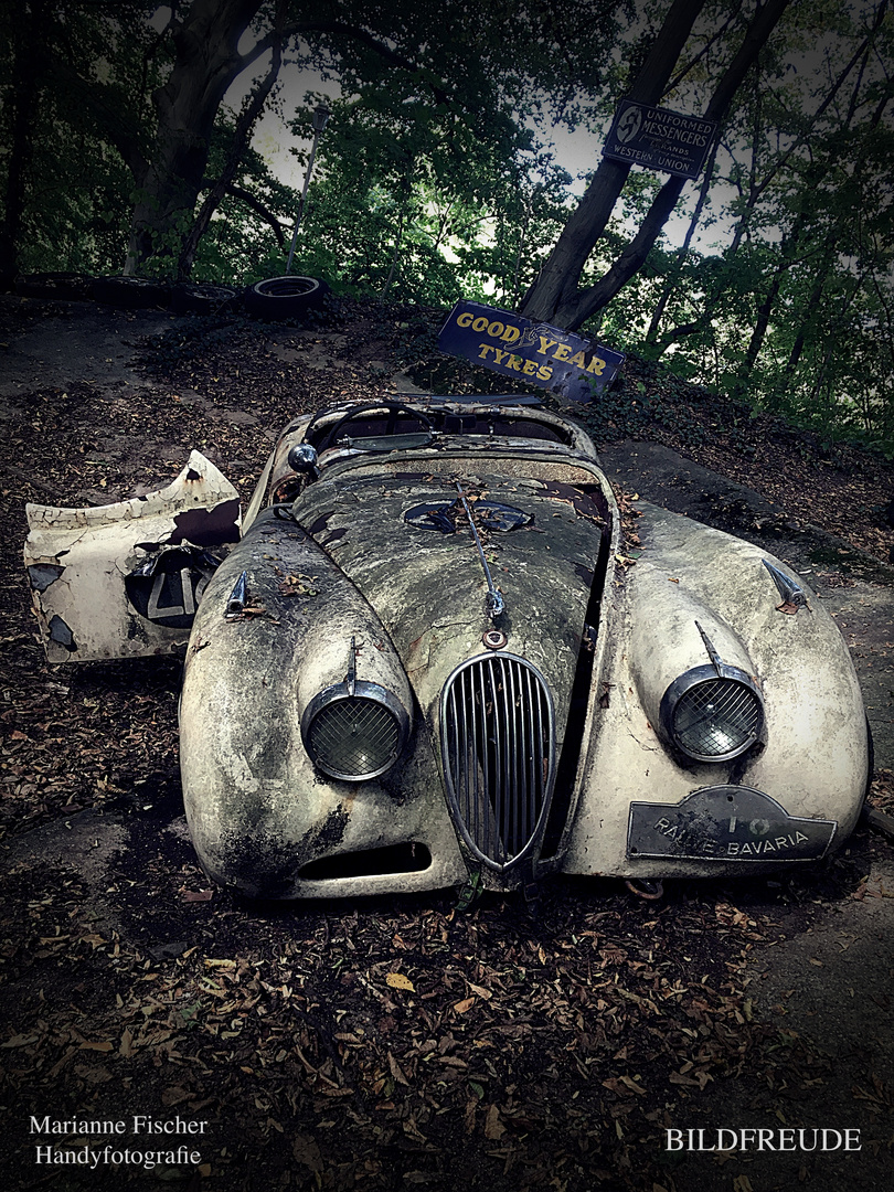 Auto-Skulpturen-Park Neandertal