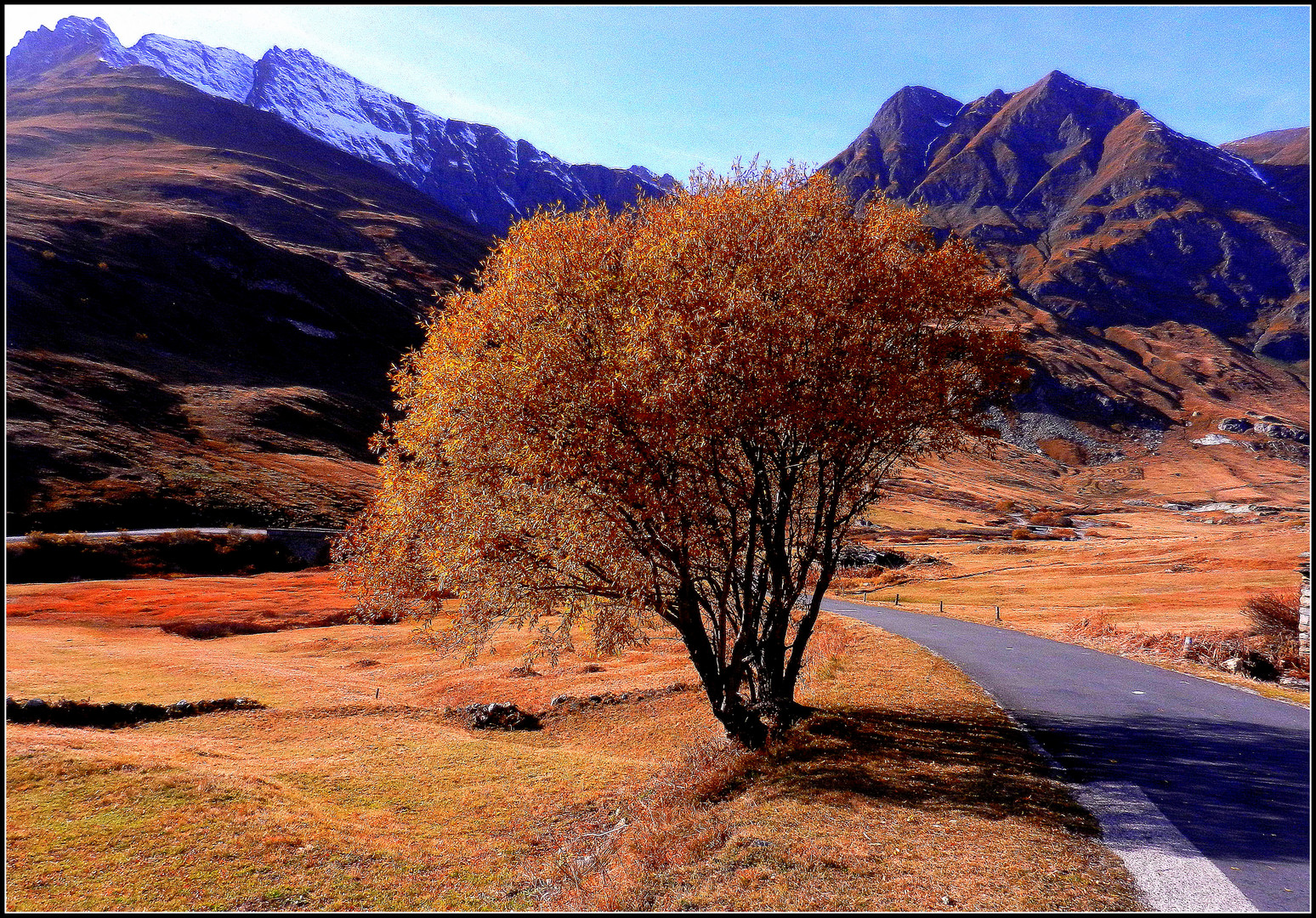 Auto-stoppeuse rousse