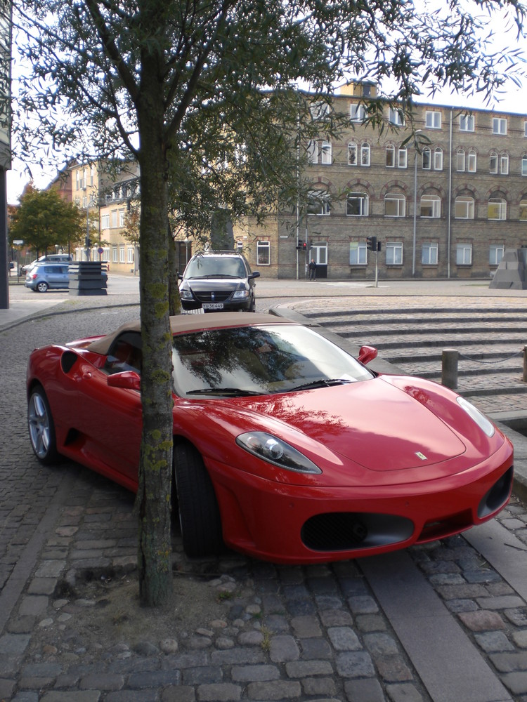 Auto unter einer Japanischen Weide