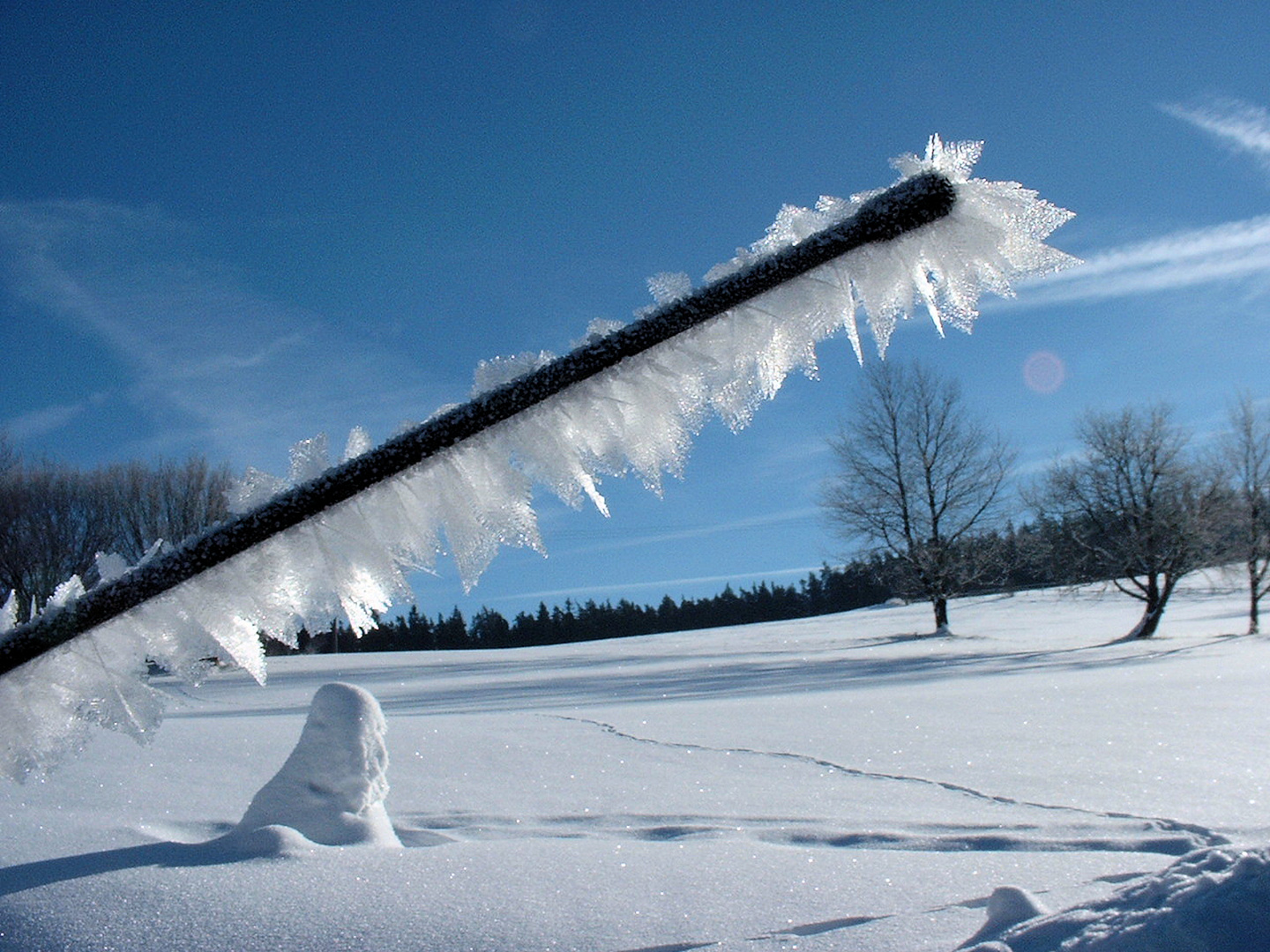 Autoantenne mit Eiskristallen