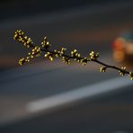 Autobahn-Frühling