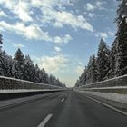 Autobahn mitten im Wald