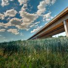 Autobahn überfährt Kornfeld.