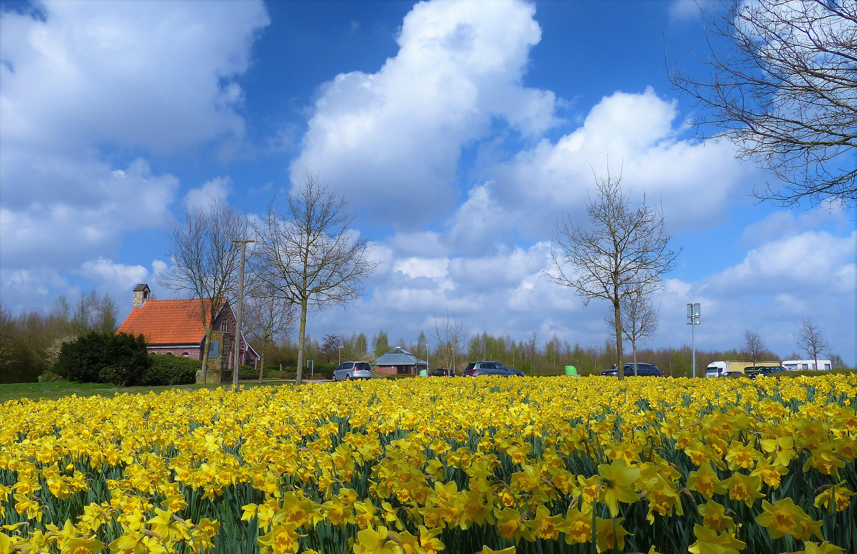 Autobahnkapelle A31 im Narzissenmeer