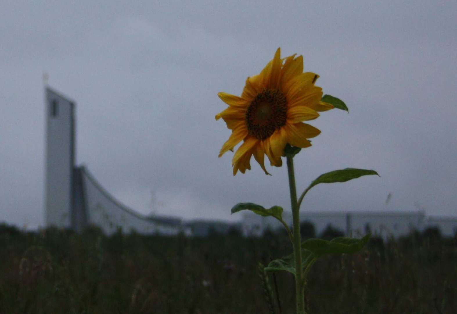 Autobahnkirche St. Christophorus mit Sonnenblume (Himmelkron)