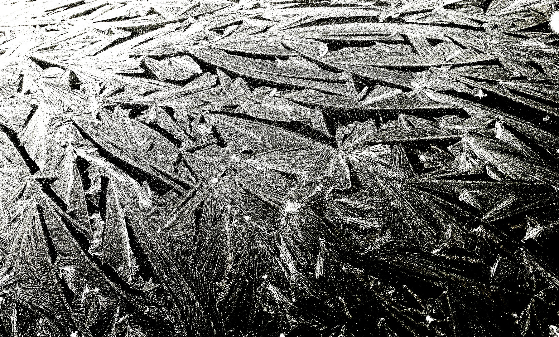 Autodach frozen ;-) - noch eins zum Thementag