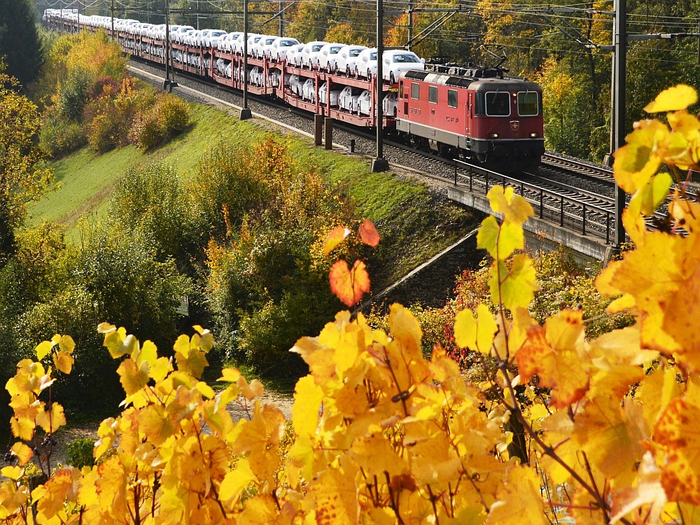 Autofahrt in den Herbst