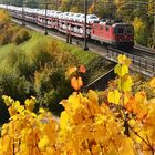 Autofahrt in den Herbst