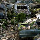 autofriedhof