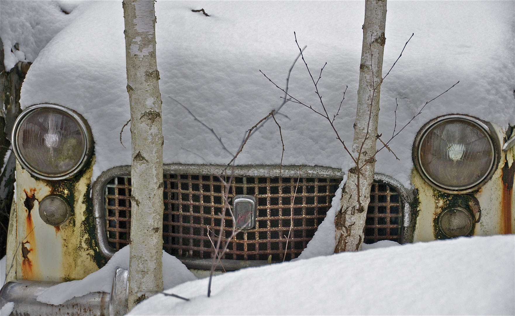 autofriedhof 04